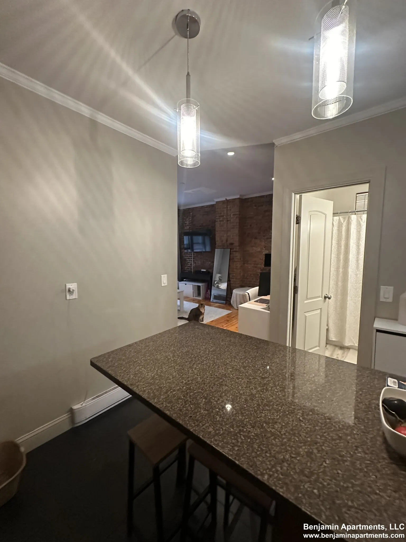 1 bed, 1 bath apartment for rent at 17 Garrison St Unit 4, Back Bay — photo 11 of 14