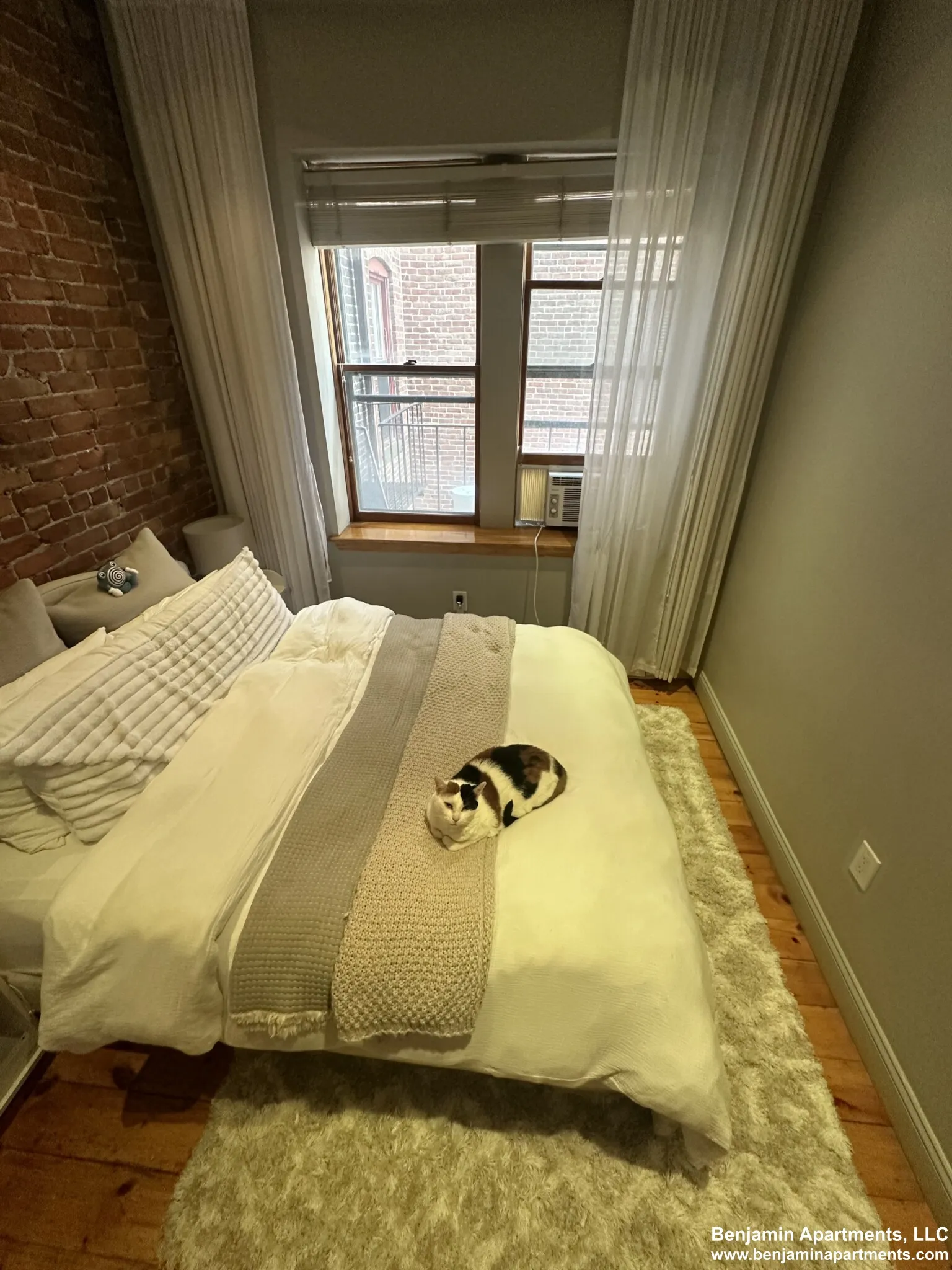 1 bed, 1 bath apartment for rent at 17 Garrison St Unit 4, Back Bay — photo 4 of 14