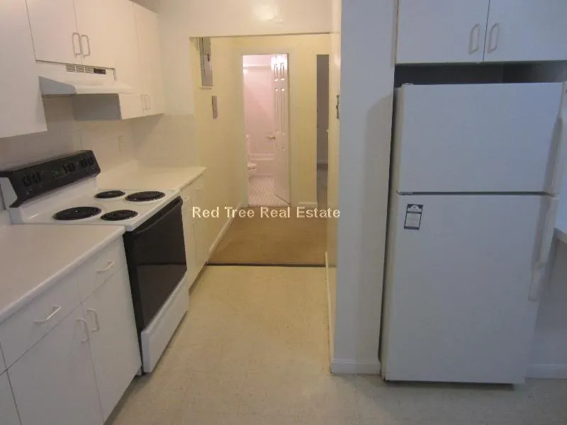 1 bed, 1 bath apartment for rent at 17 Green St Unit B1, North Brookline — photo 5 of 10