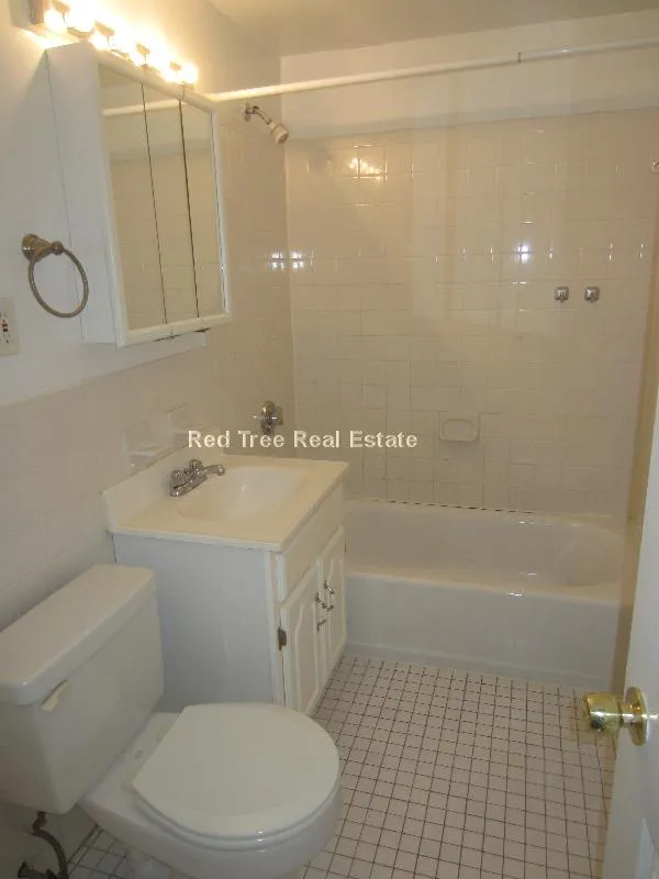 1 bed, 1 bath apartment for rent at 17 Green St Unit B1, North Brookline — photo 7 of 10