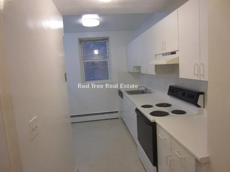 1 bed, 1 bath apartment for rent at 17 Green St Unit B1, North Brookline — photo 4 of 10