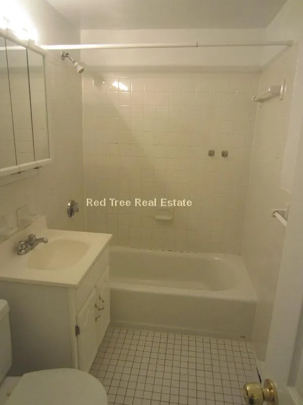 1 bed, 1 bath apartment for rent at 17 Green St Unit B1, North Brookline — photo 6 of 10