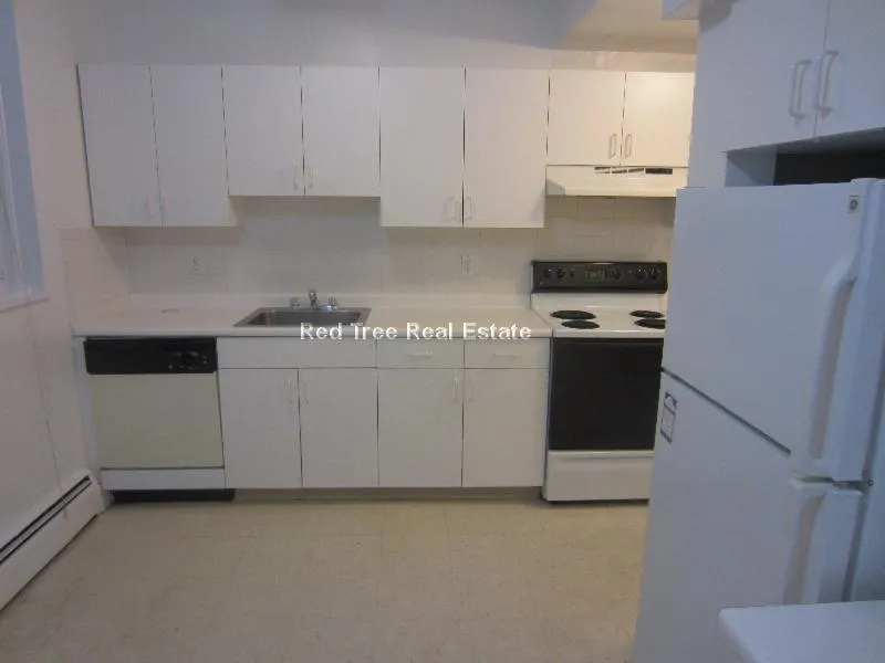 1 bed, 1 bath apartment for rent at 17 Green St Unit B1, North Brookline — photo 3 of 10