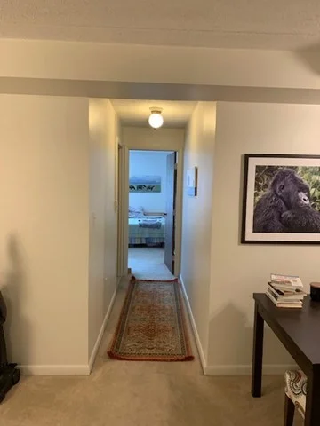 1 bed, 1 bath apartment for rent at 17 Healey Unit 202, West Cambridge — photo 5 of 6