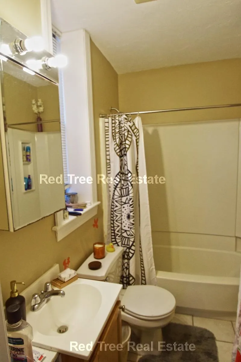 1 bed, 1 bath apartment for rent at 17 Highgate St Unit 1, Allston — photo 4 of 5