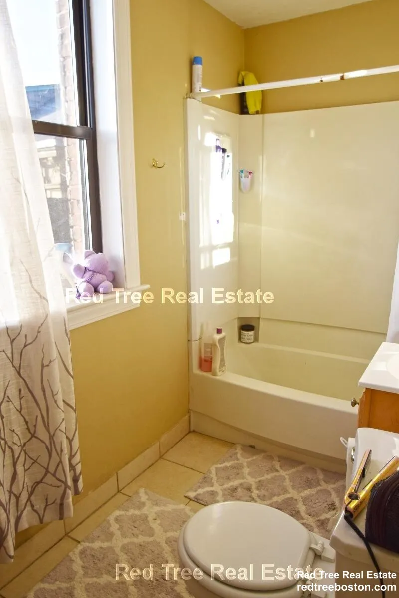 4 bed, 2 bath apartment for rent at 17 Highgate St Unit 6, Allston — photo 9 of 17