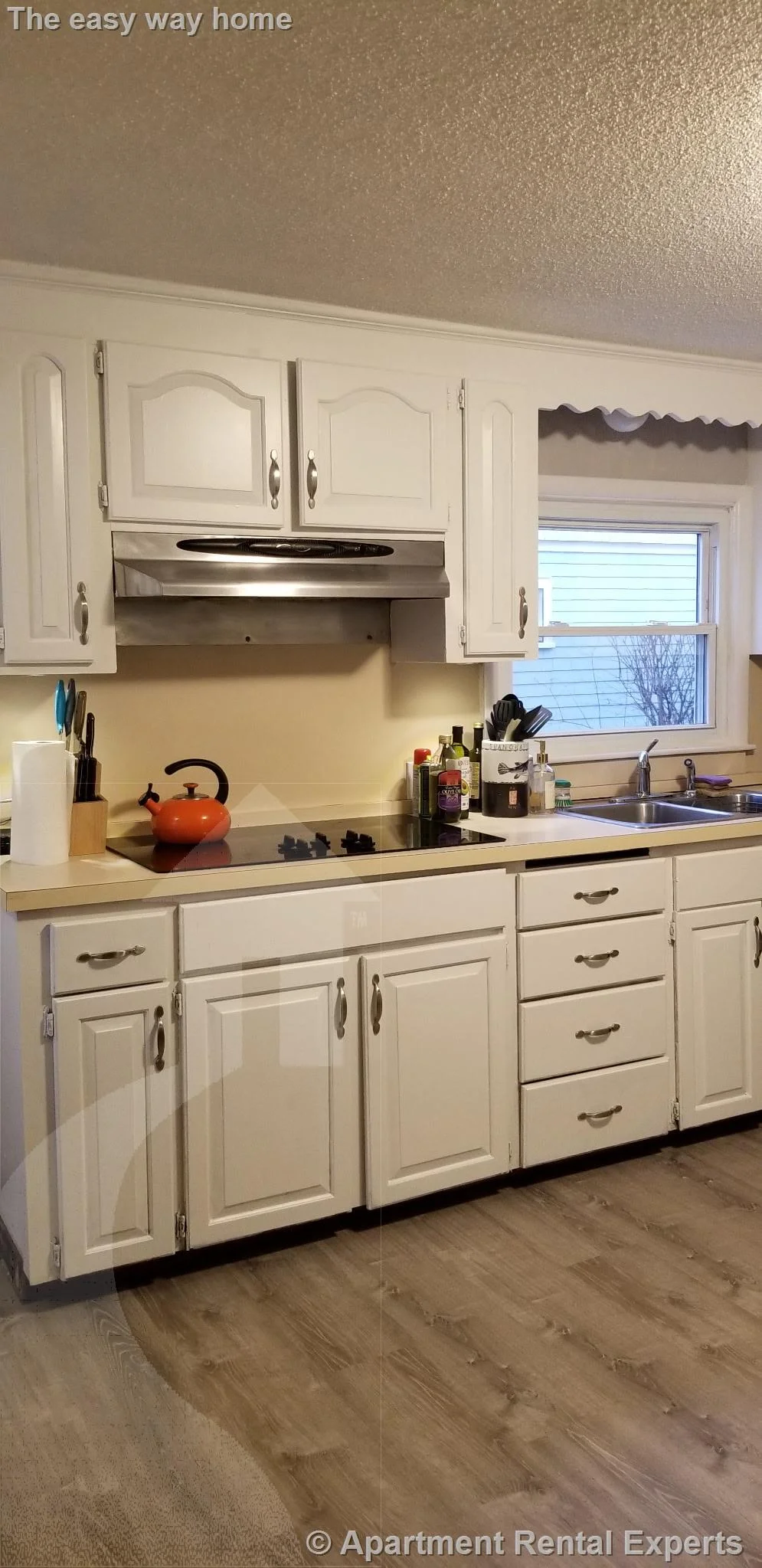 3 bed, 2 bath apartment for rent at 17 Irving St Unit 1, Davis Square — photo 3 of 14