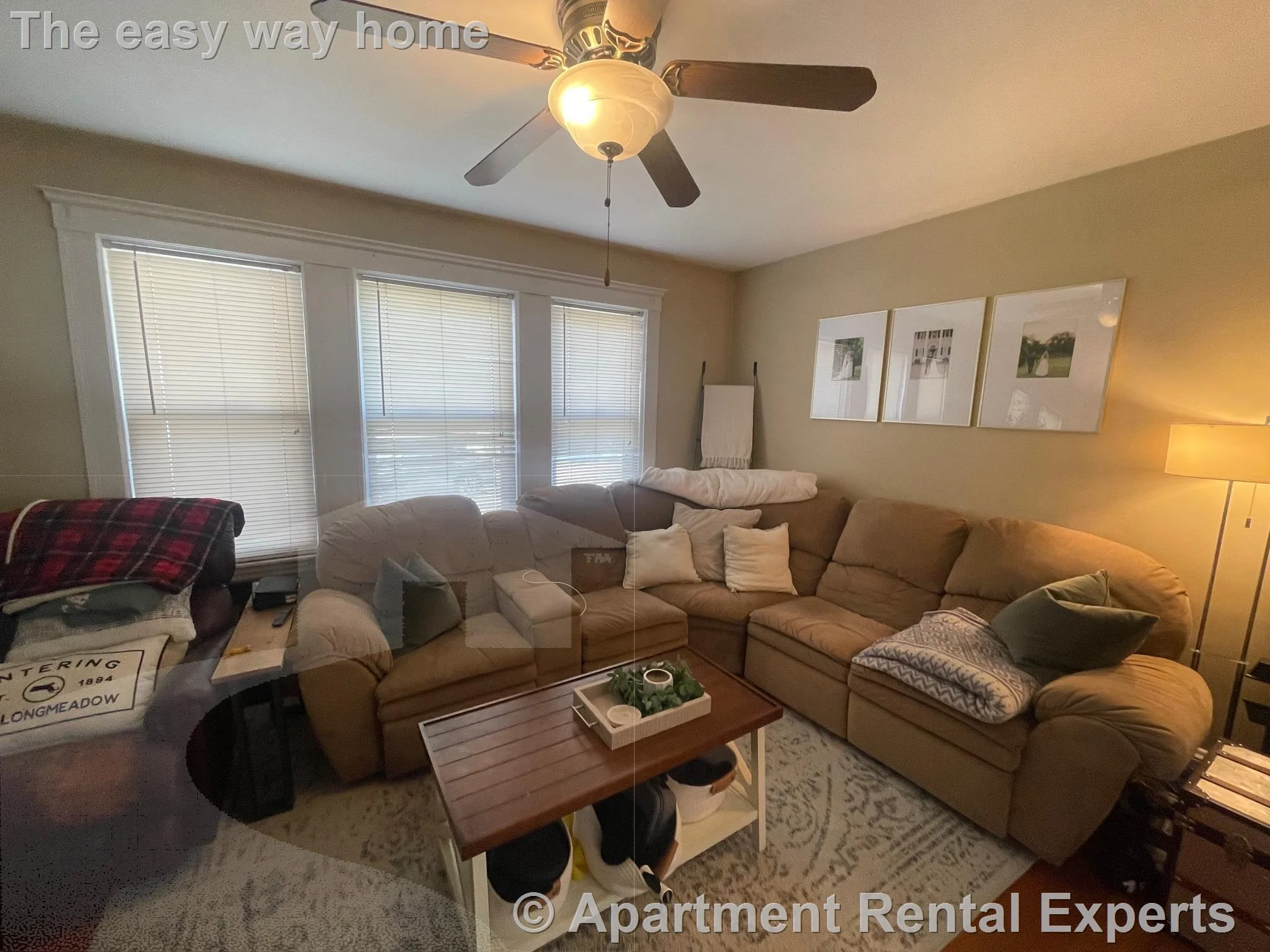 2 bed, 1 bath apartment for rent at 17 Irvington Rd, Tufts — photo 2 of 19