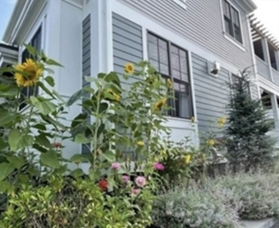 4 bed, 3 bath apartment for rent at 17 Porter St Unit 1, Spring Hill — photo 15 of 15