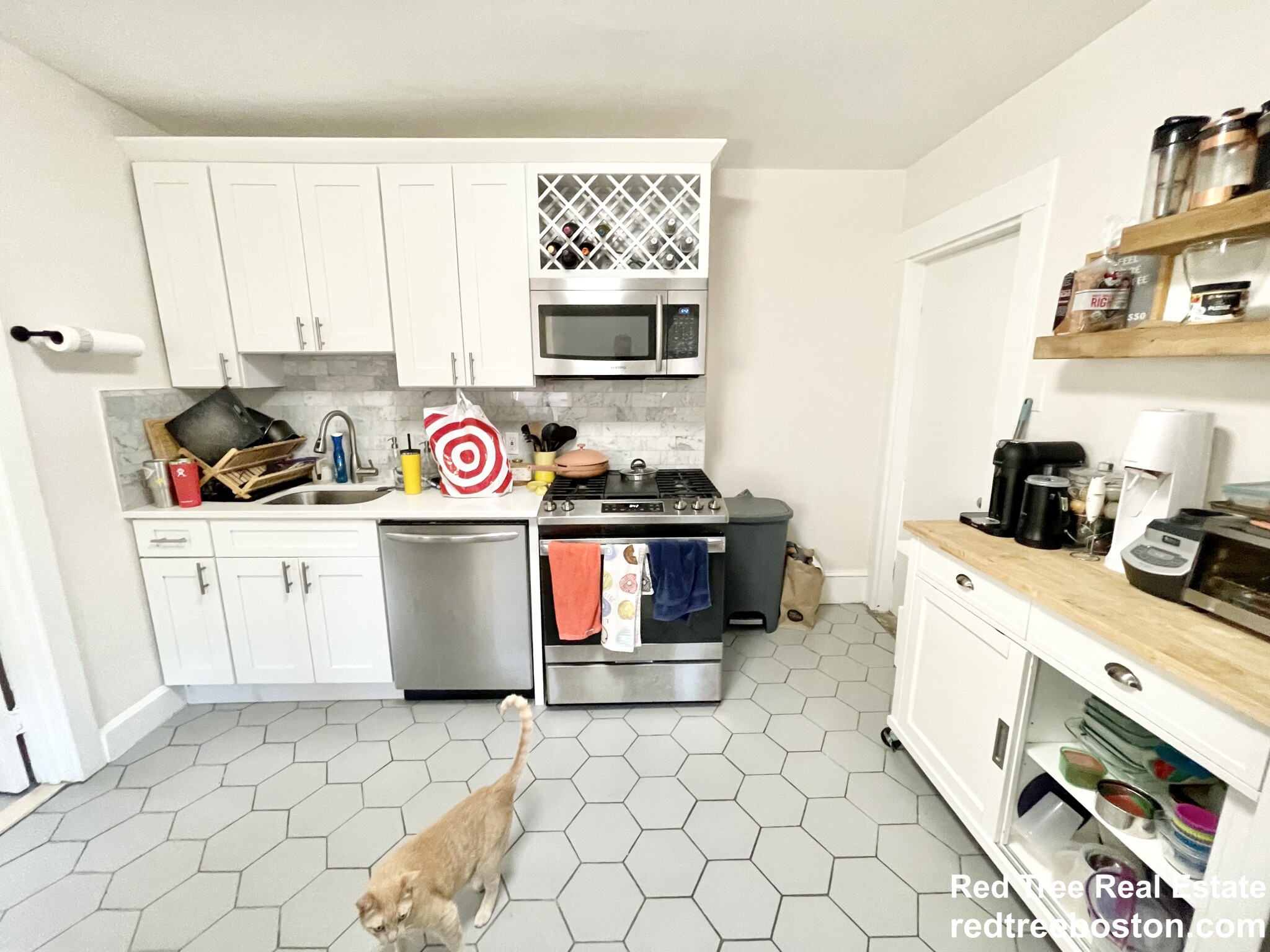 1 bed, 1 bath apartment for rent at 17 Spring Garden St Unit 2, Dorchester — photo 2 of 11