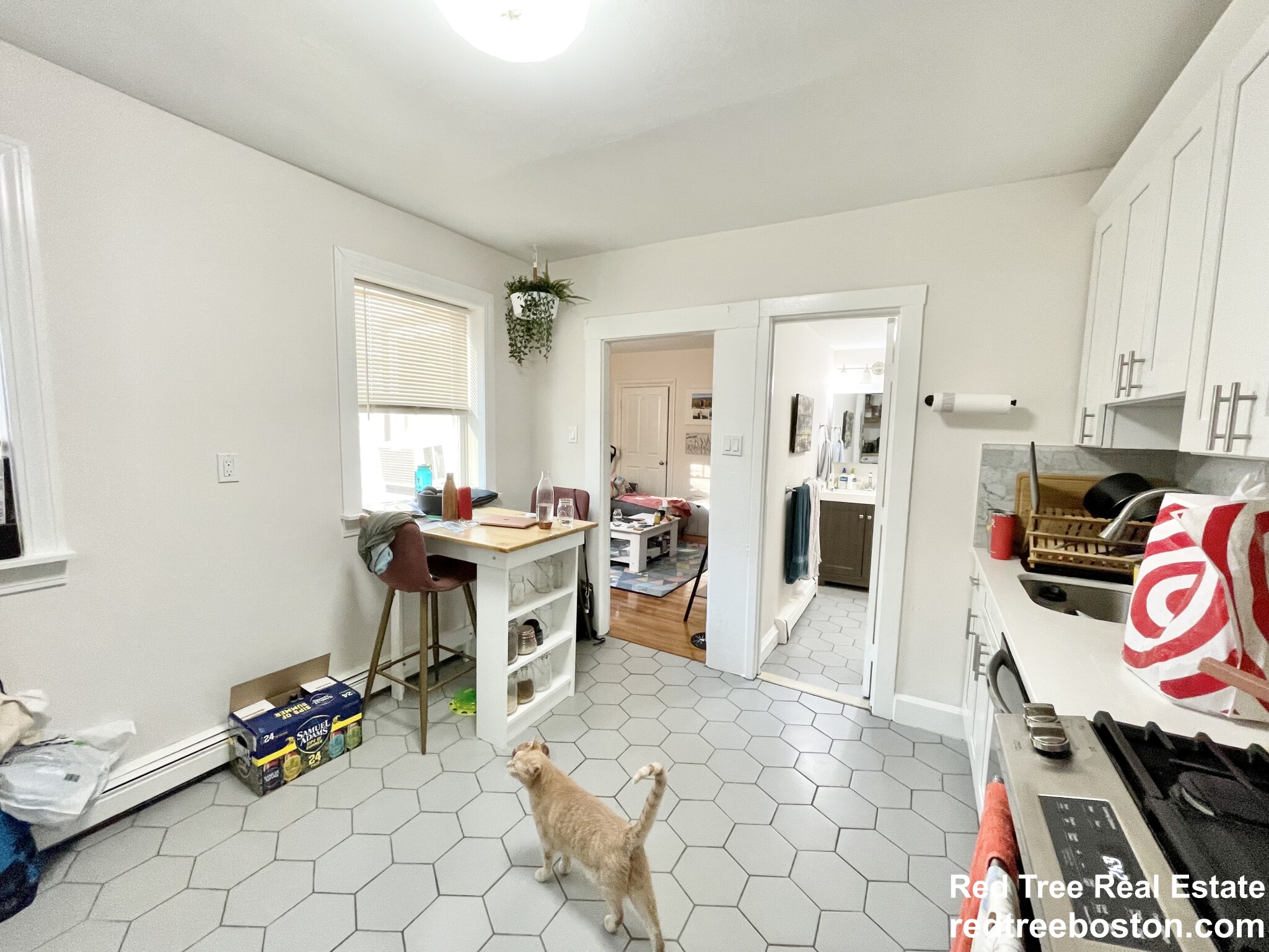 1 bed, 1 bath apartment for rent at 17 Spring Garden St Unit 2, Dorchester — photo 3 of 11