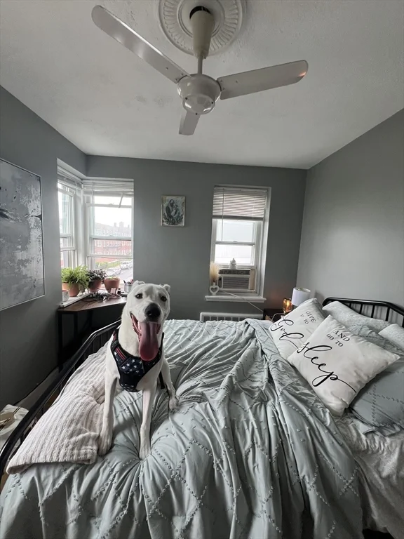 3 bed, 1 bath apartment for rent at 17 Twomey Ct Unit 61, South Boston — photo 24 of 29