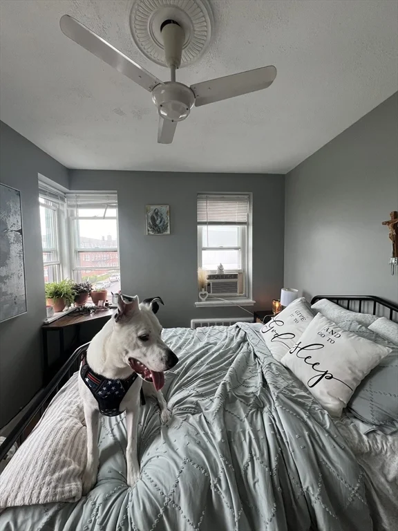 3 bed, 1 bath apartment for rent at 17 Twomey Ct Unit 61, South Boston — photo 23 of 29