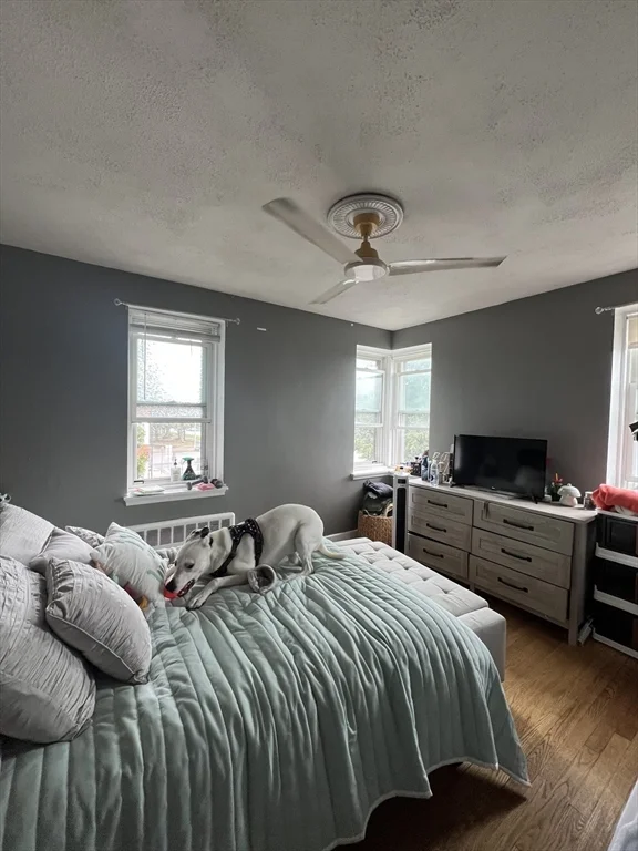 3 bed, 1 bath apartment for rent at 17 Twomey Ct Unit 61, South Boston — photo 20 of 29