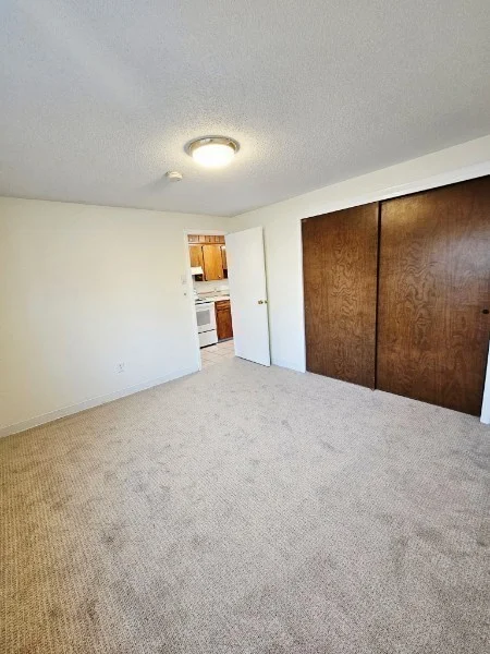 1 bed, 1 bath apartment for rent at 17 Wysocki Dr Unit 57, Dudley — photo 7 of 13