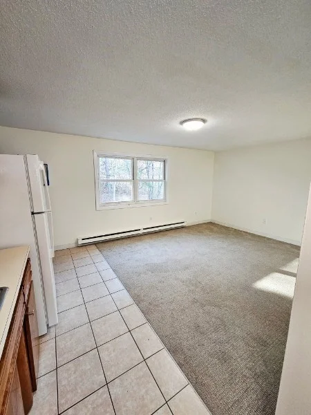 1 bed, 1 bath apartment for rent at 17 Wysocki Dr Unit 57, Dudley — photo 4 of 13