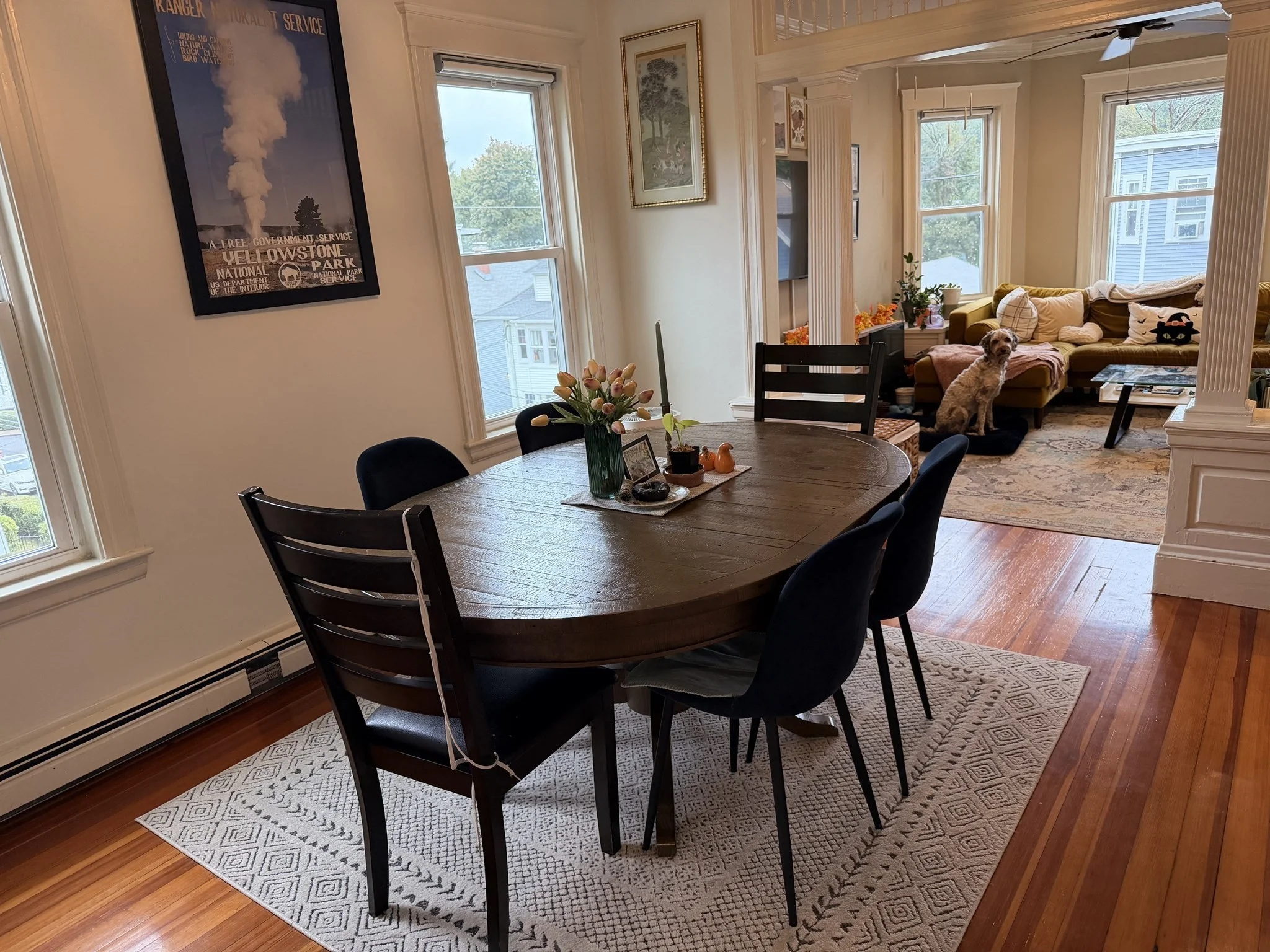 2 bed, 1 bath apartment for rent at 17 Wyvern St Unit 3, Jamaica Plain — photo 5 of 17