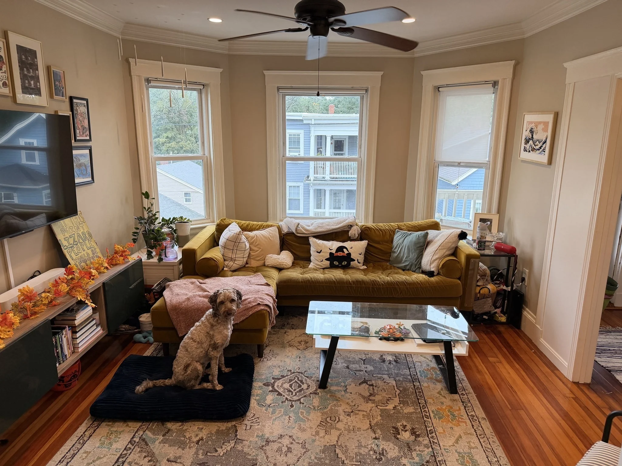 2 bed, 1 bath apartment for rent at 17 Wyvern St Unit 3, Jamaica Plain — photo 2 of 17
