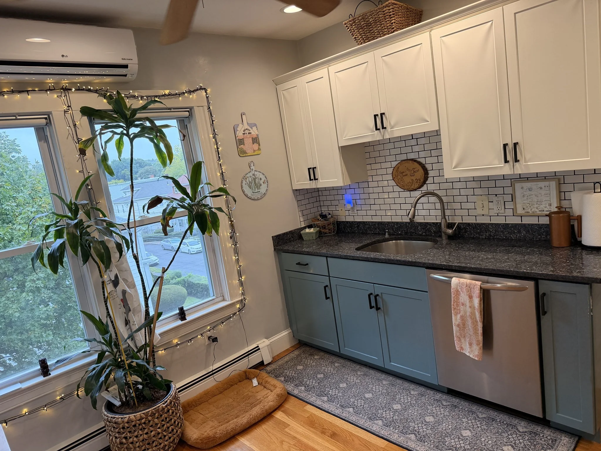 2 bed, 1 bath apartment for rent at 17 Wyvern St Unit 3, Jamaica Plain — photo 6 of 17