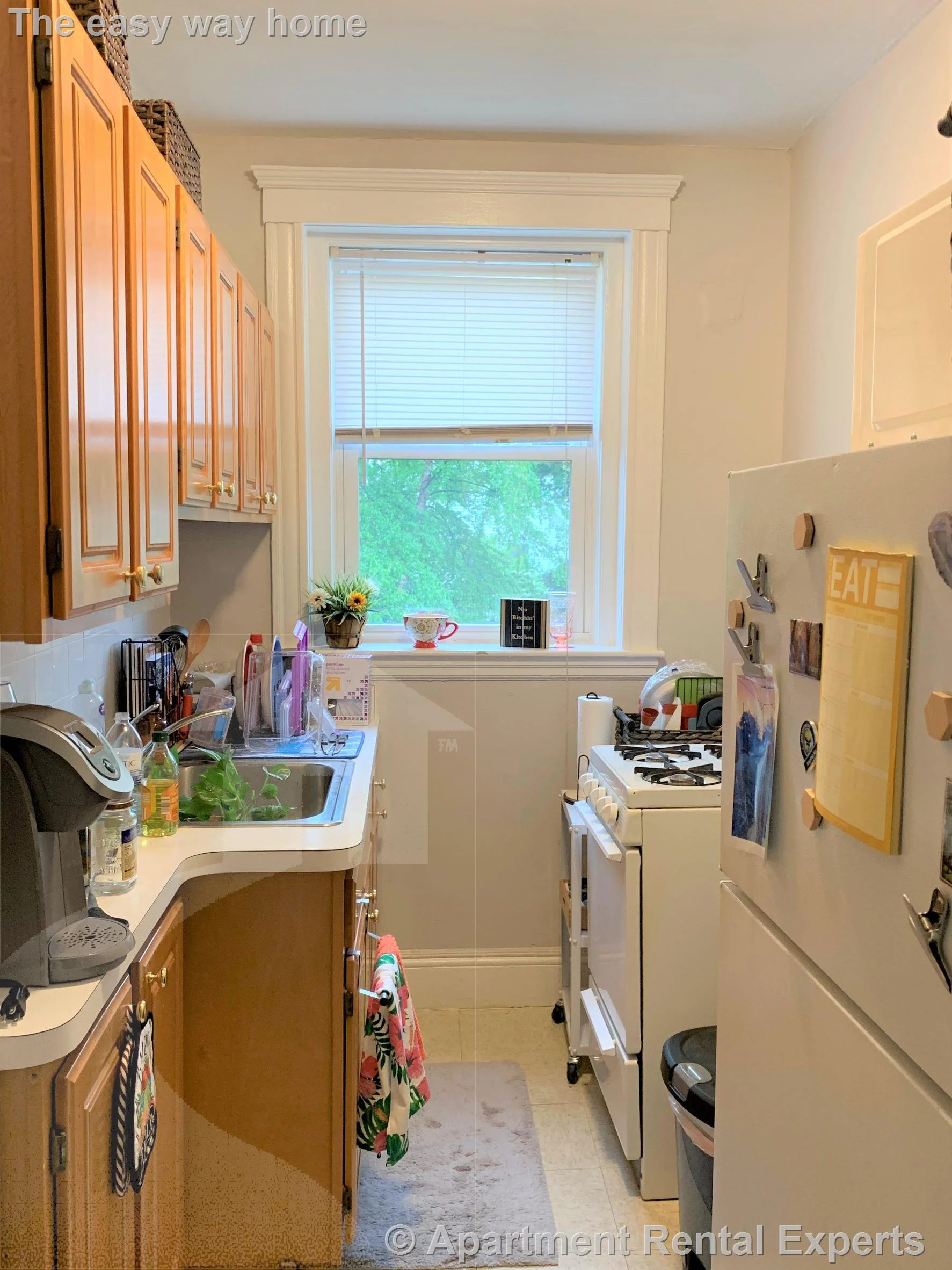 1 bed, 1 bath apartment for rent at 170 Maple St Unit 209, Malden Center — photo 8 of 9