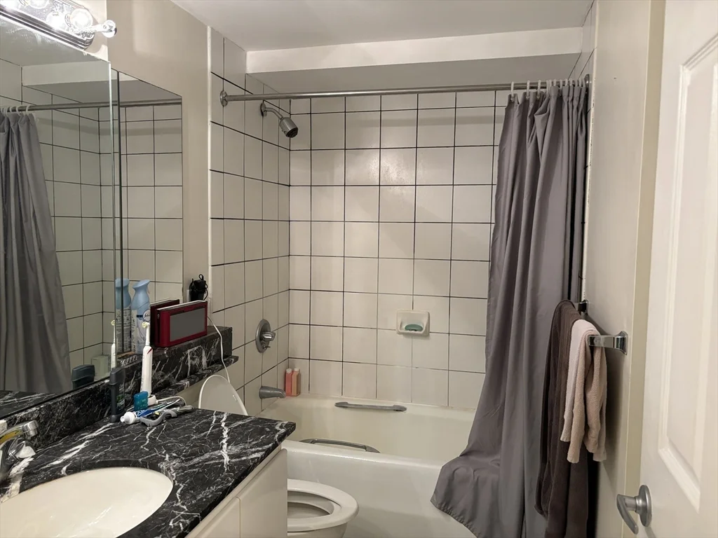 1 bed, 1 bath apartment for rent at 170 Tremont St Unit 1006, Midtown — photo 13 of 17