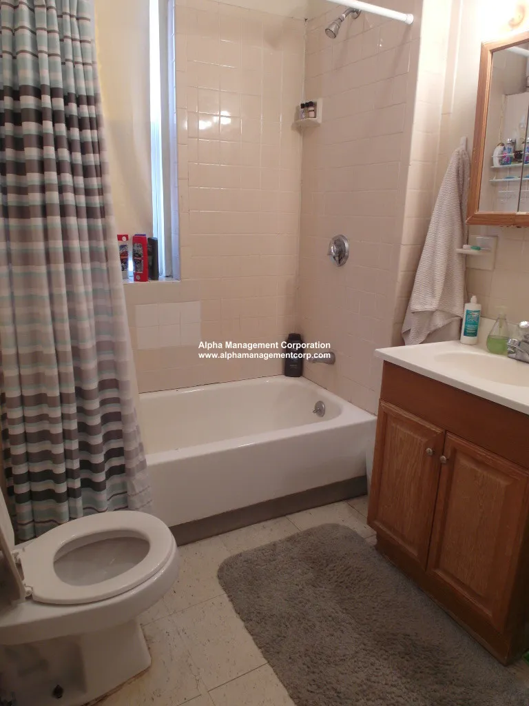 2 bed, 1 bath apartment for rent at 171 Hemenway St Unit 19, Fenway — photo 6 of 9