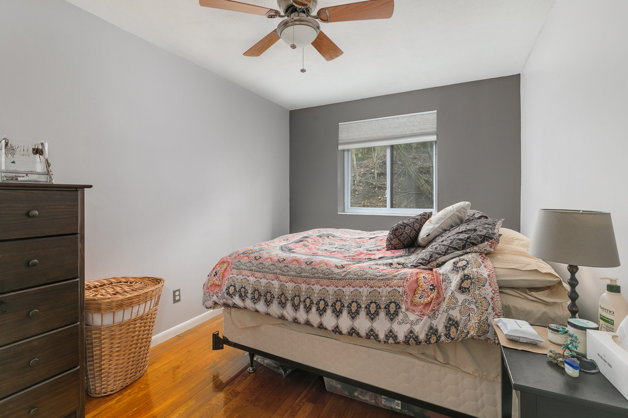 2 bed, 1 bath apartment for rent at 171 South St Unit 11B, Jamaica Plain — photo 7 of 12