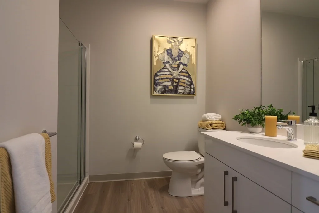 3 bed, 3 bath apartment for rent at 171 Washington St Unit 2225, Brighton — photo 7 of 16