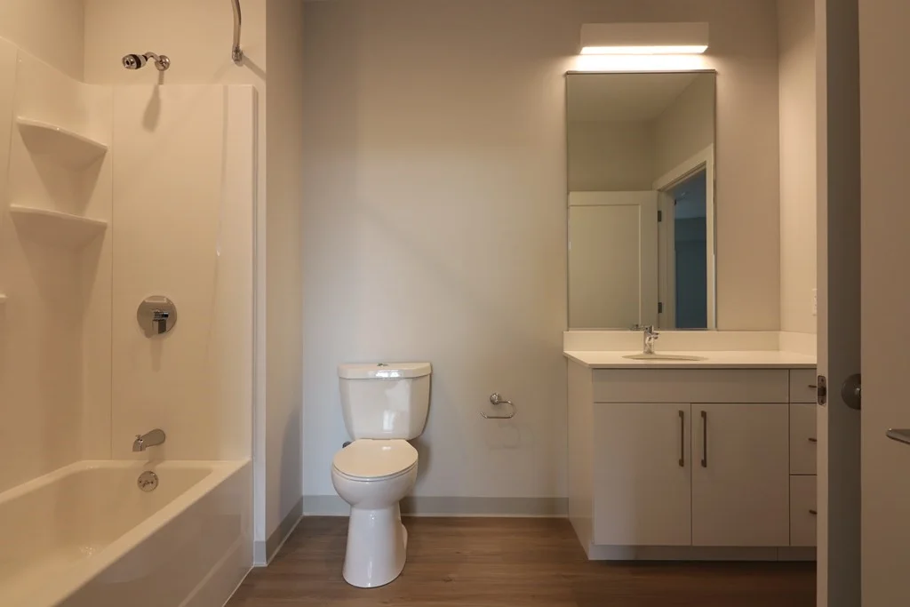 2 bed, 2 bath apartment for rent at 171 Washington St Unit 2324, Brighton — photo 6 of 15
