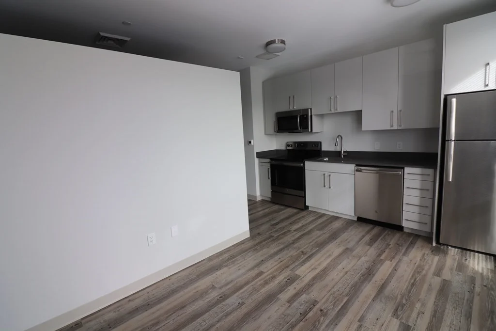 Studio bed, 1 bath apartment for rent at 171 Washington St Unit 2329, Brighton — photo 2 of 8