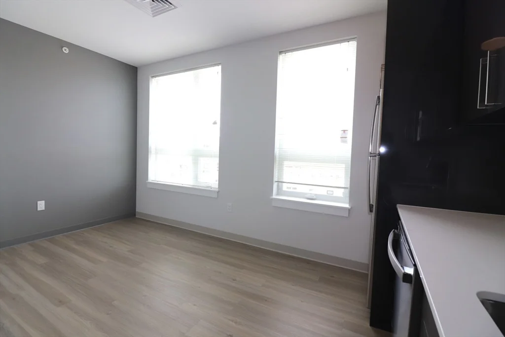 Studio bed, 1 bath apartment for rent at 171 Washington St Unit 2429, Brighton — photo 6 of 16