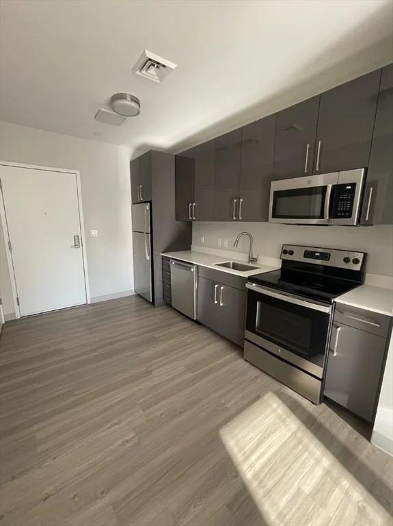 2 bed, 2 bath apartment for rent at 171 Washington St Unit 2434, Brighton — photo 3 of 18