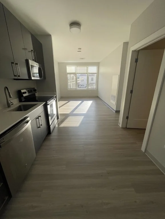 2 bed, 2 bath apartment for rent at 171 Washington St Unit 2434, Brighton — photo 2 of 18