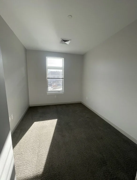 2 bed, 2 bath apartment for rent at 171 Washington St Unit 2434, Brighton — photo 8 of 18
