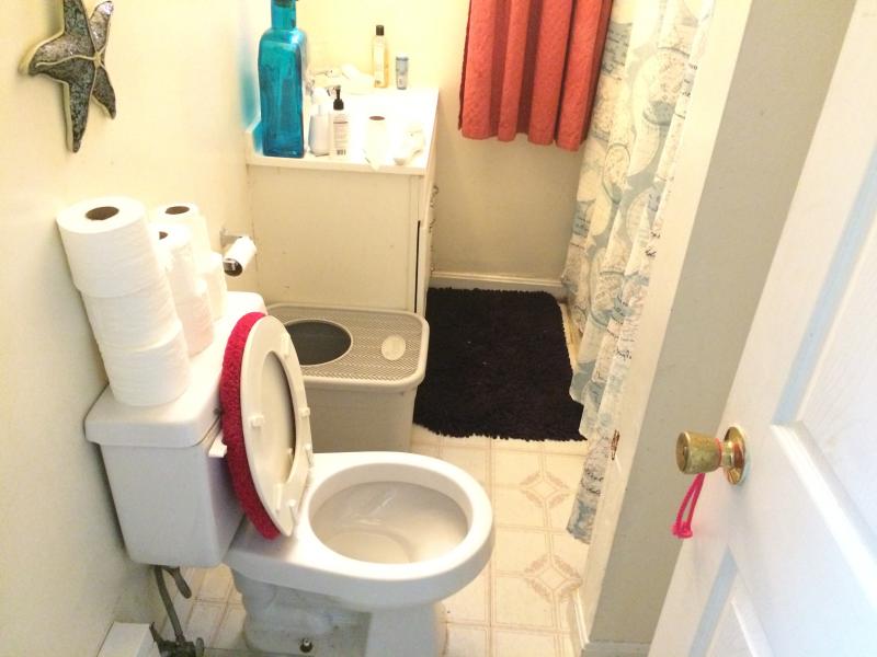 2 bed, 1 bath apartment for rent at 1713 Commonwealth Ave Unit B, Brighton — photo 9 of 12