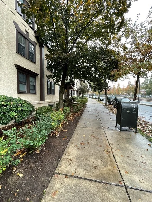 2 bed, 1 bath apartment for rent at 1718 Commonwealth Ave Unit 1, Boston — photo 4 of 22