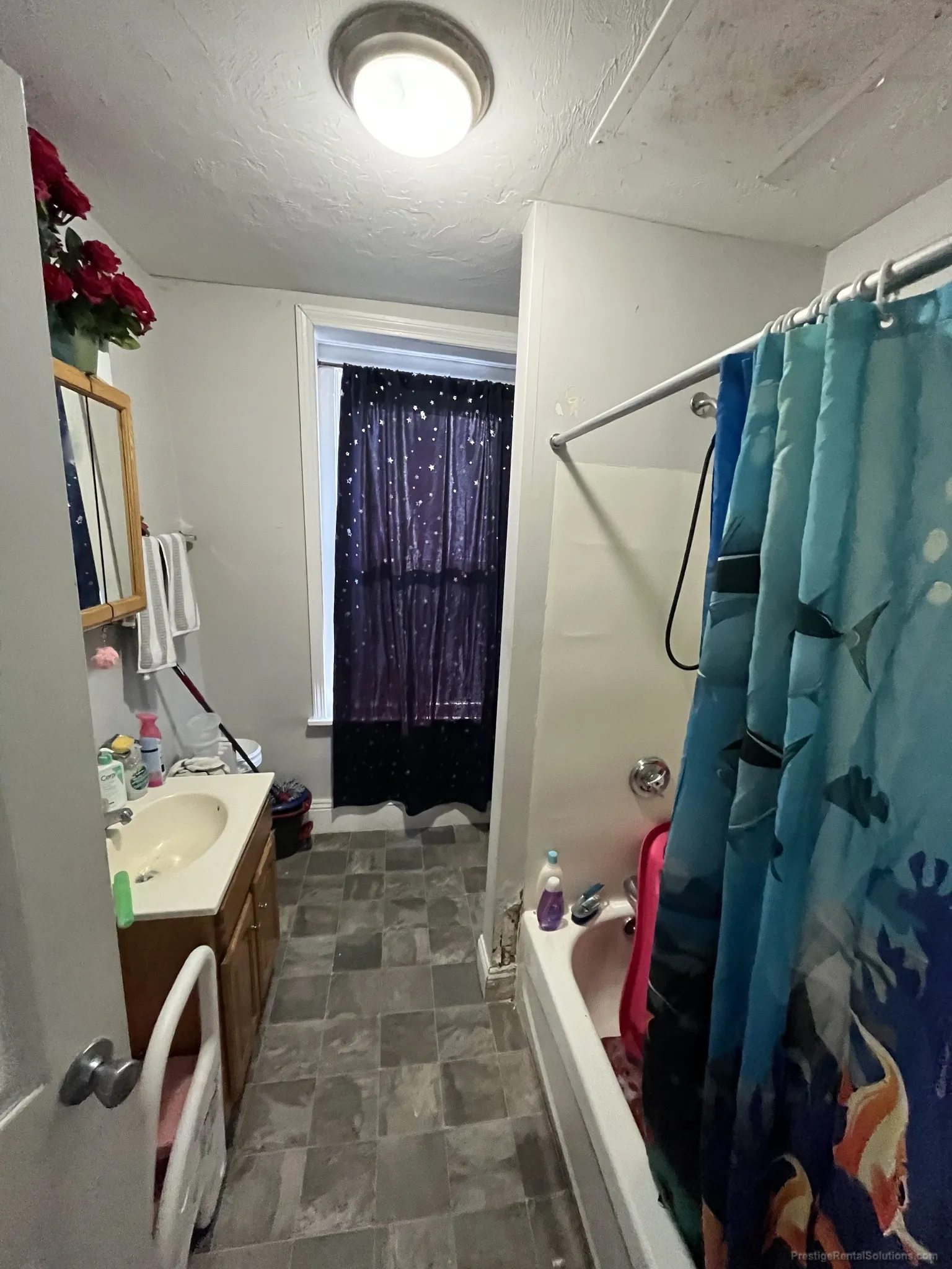 4 bed, 2 bath apartment for rent at 172 Bigelow St Unit 2, Oak Square — photo 17 of 42