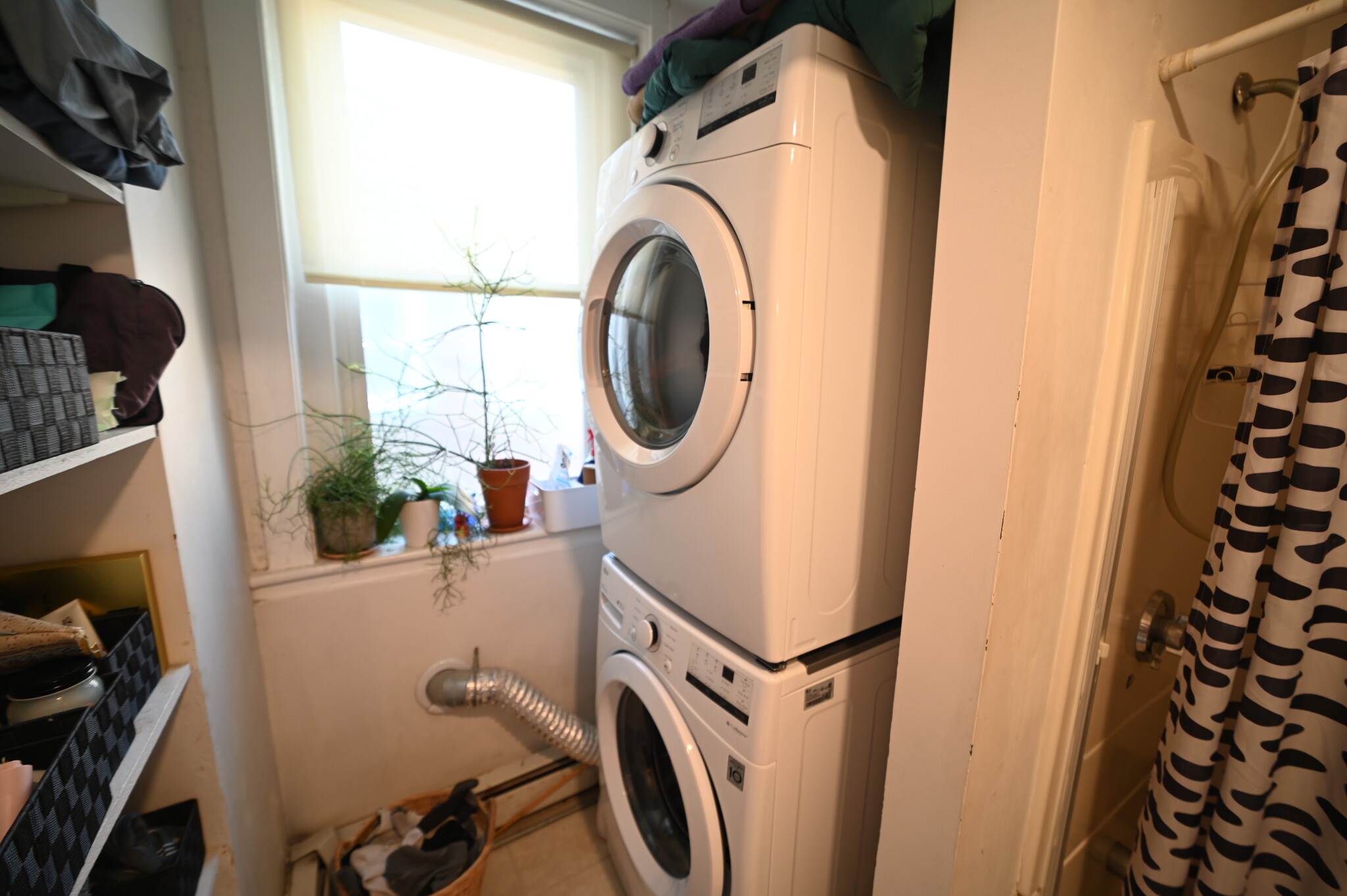 3 bed, 1.5 bath apartment for rent at 1722 Beacon St Unit 1, Washington Square — photo 7 of 17