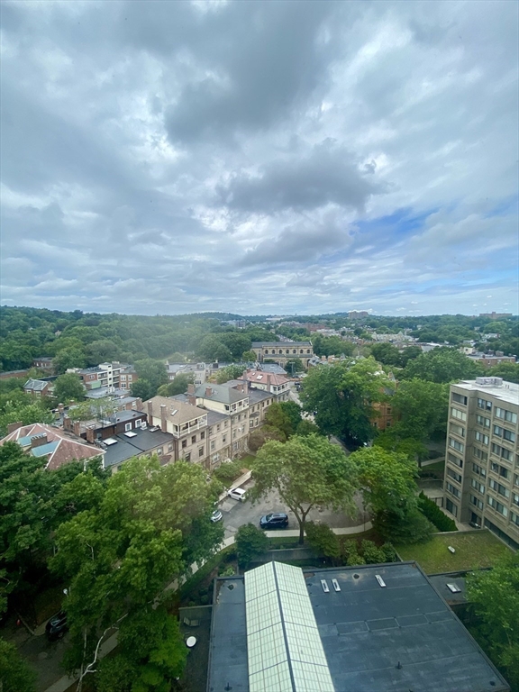 2 bed, 1 bath apartment for rent at 1731 Beacon St Unit 1206, Brookline — photo 10 of 16