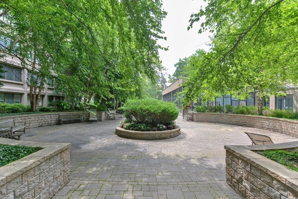 1 bed, 1 bath apartment for rent at 1731 Beacon St Unit 1208, Brookline — photo 2 of 15
