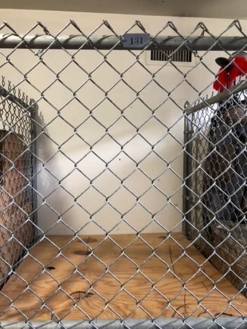1 bed, 1 bath apartment for rent at 1731 Beacon St Unit 523, Brookline — photo 22 of 23
