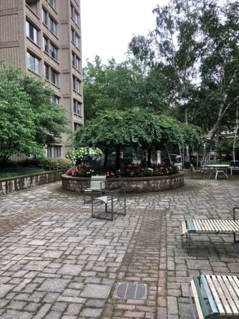 1 bed, 1 bath apartment for rent at 1731 Beacon St Unit 523, Brookline — photo 17 of 23