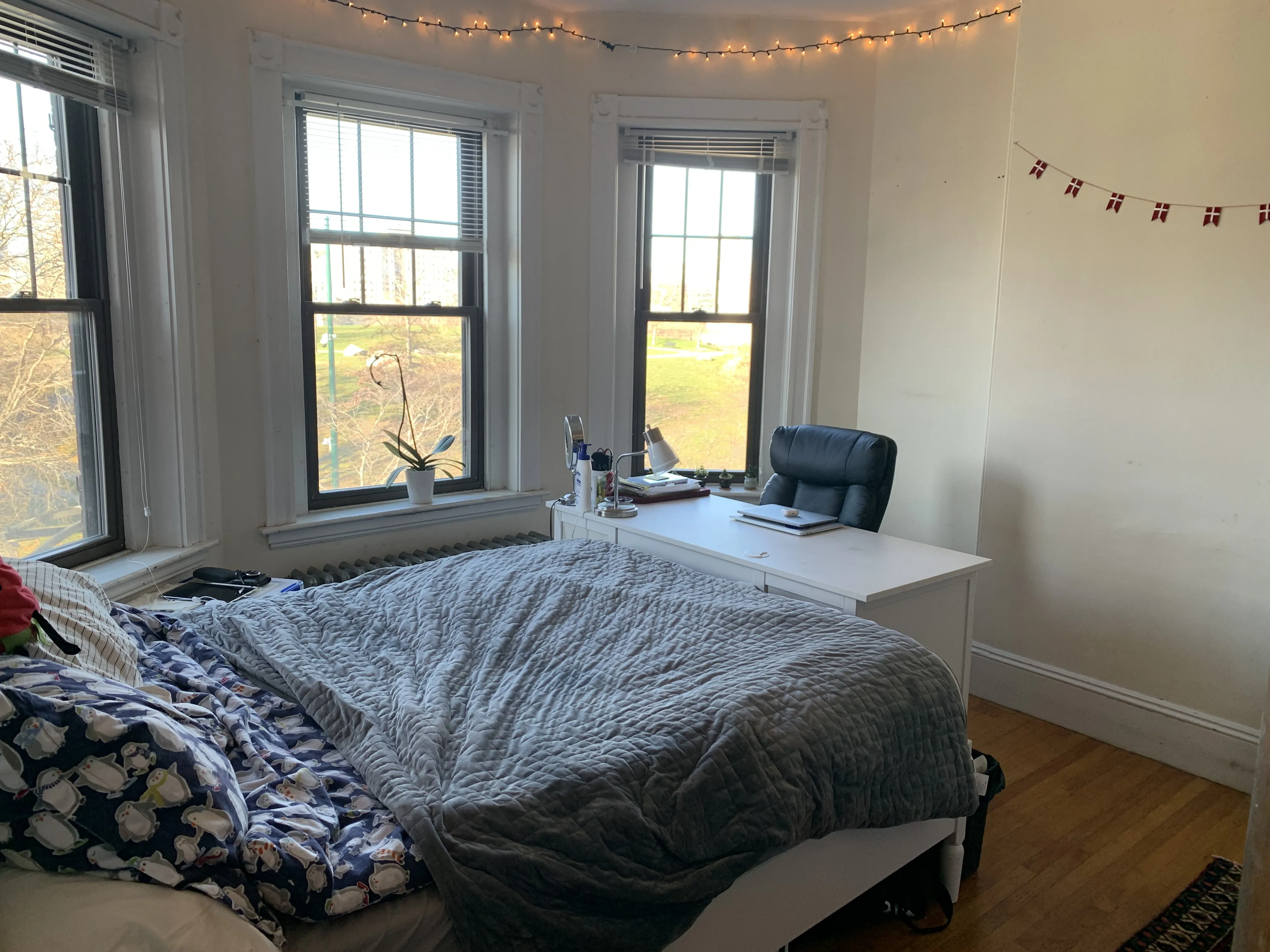 4 bed, 2 bath apartment for rent at 174 Saint Alphonsus St Unit 3, Mission Hill — photo 6 of 17