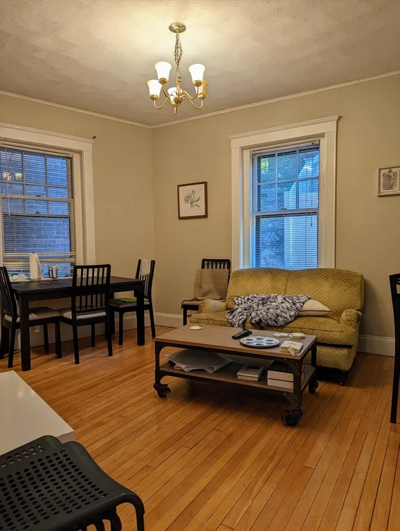 3 bed, 1 bath apartment for rent at 174 Winthrop Rd Unit 2, Washington Square — photo 3 of 9