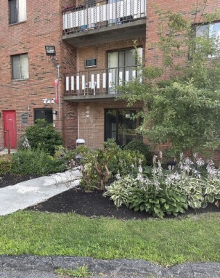 1 bed, 1 bath apartment for rent at 175 Adams St Unit 15, Nonantum — photo 5 of 6