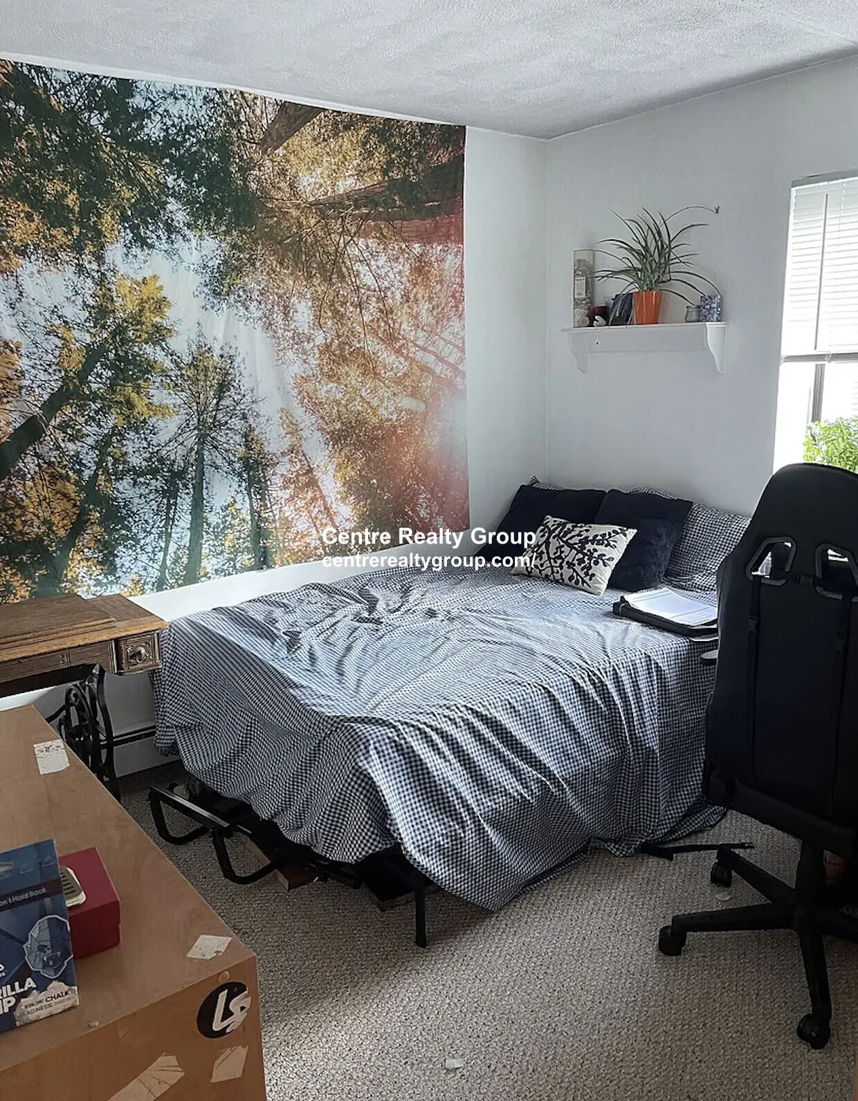2 bed, 1 bath apartment for rent at 175 Adams St Unit 7, Nonantum — photo 4 of 12