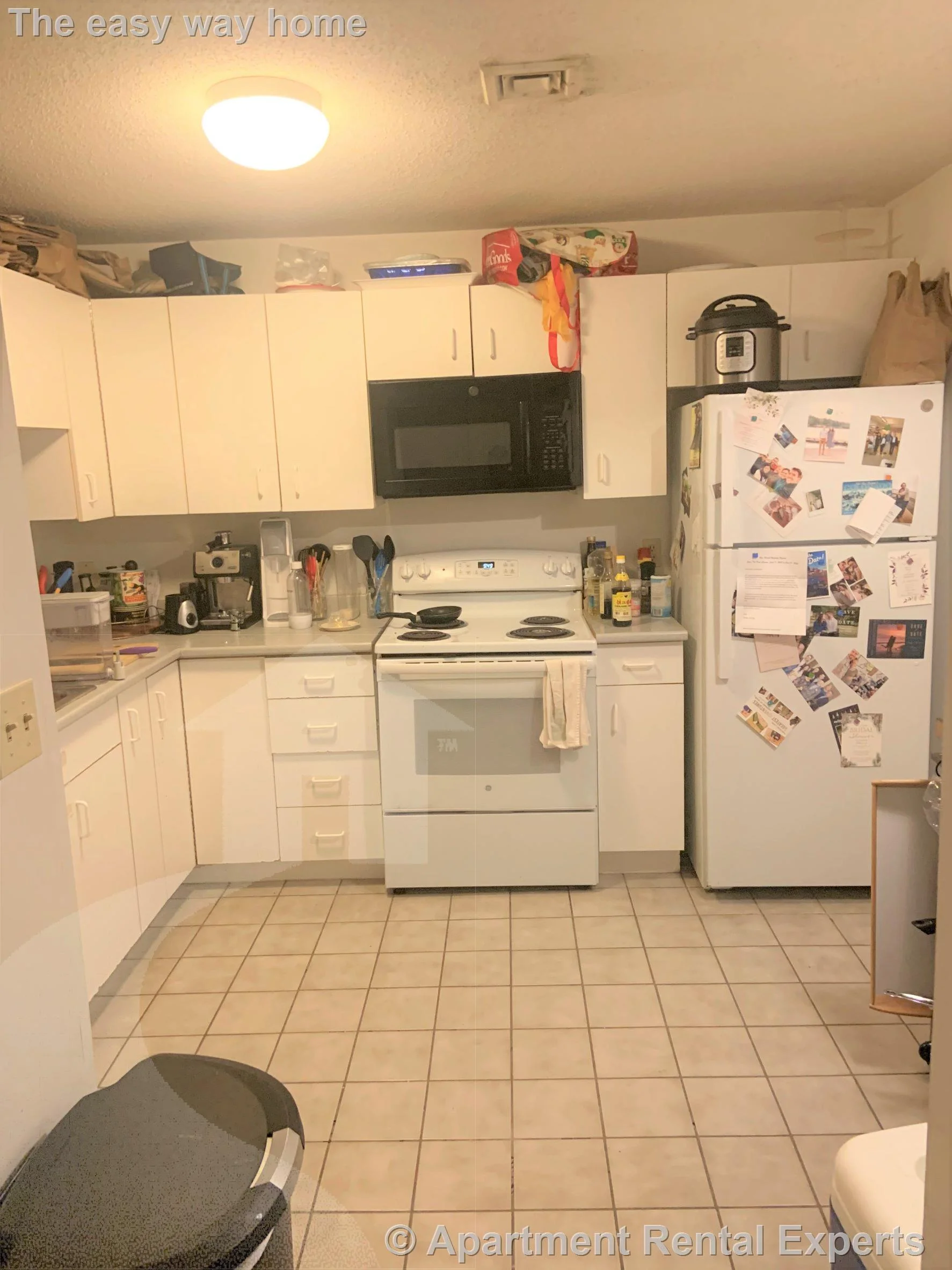 2 bed, 2 bath apartment for rent at 175 Beacon St Unit 103, Ward Two — photo 1 of 8