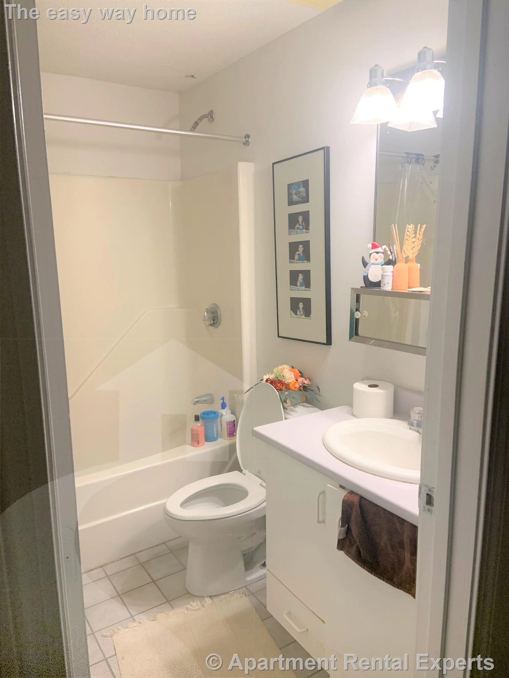 2 bed, 2 bath apartment for rent at 175 Beacon St Unit 103, Ward Two — photo 4 of 8