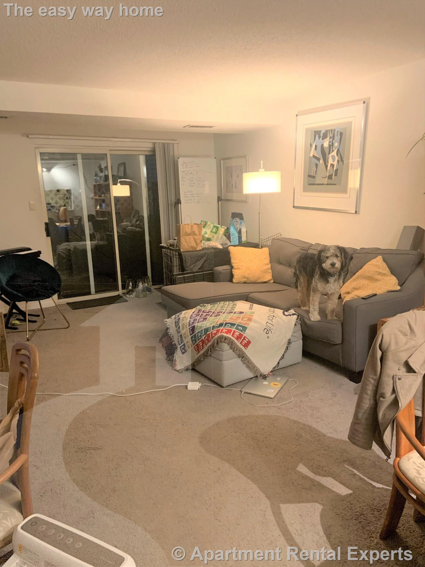 2 bed, 2 bath apartment for rent at 175 Beacon St Unit 103, Ward Two — photo 3 of 8