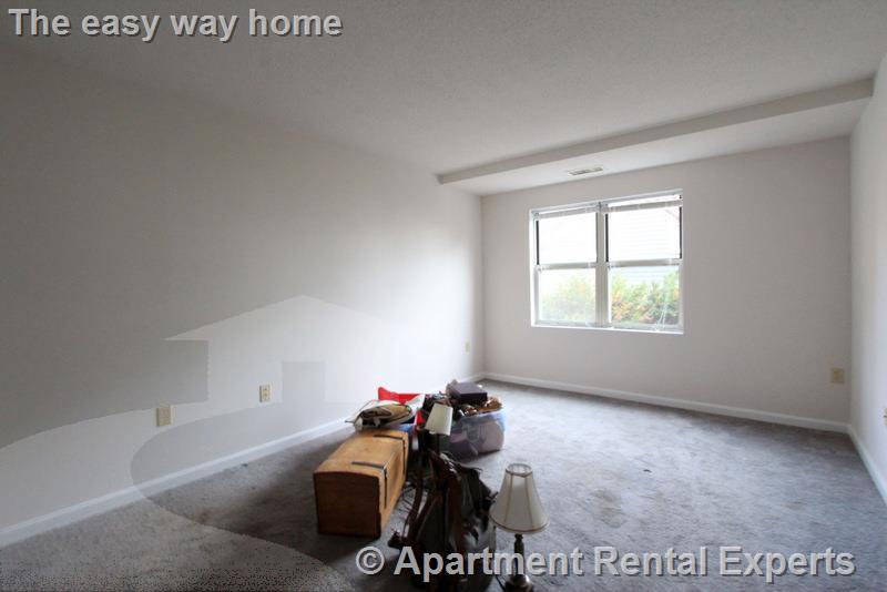 2 bed, 2 bath apartment for rent at 175 Beacon St Unit 110, Ward Two — photo 10 of 18